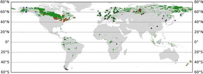Temperature-Dependent Oxygen Isotope Fractionation in Plant Cellulose Biosynthesis Revealed by a Global Dataset of Peat Mosses